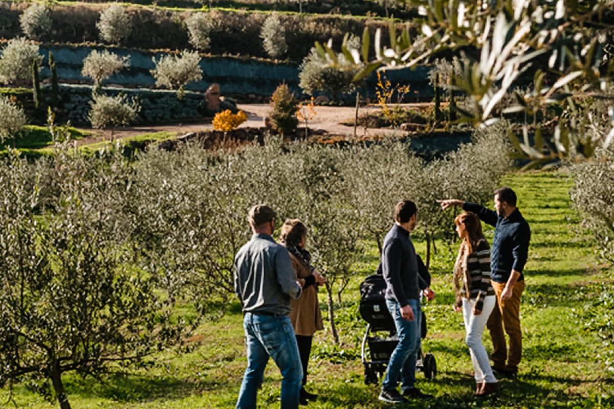 oleoturisme